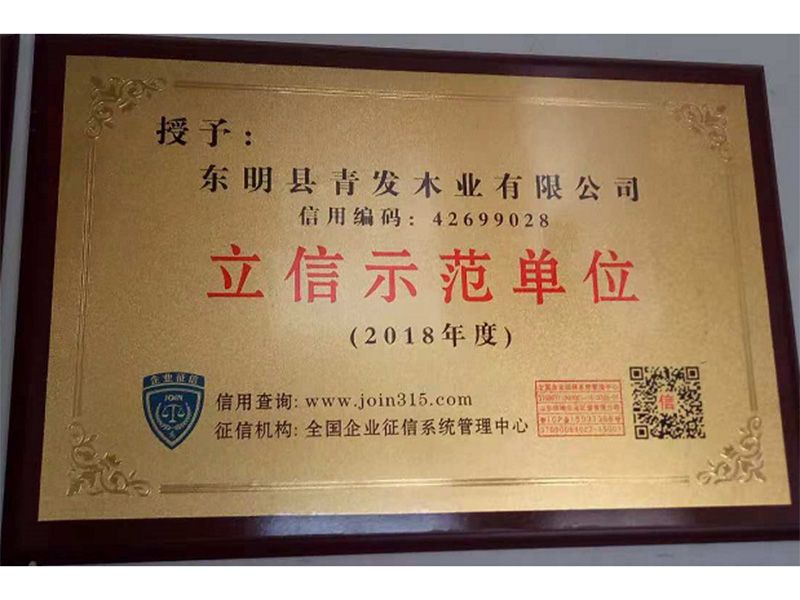 立信示范单位