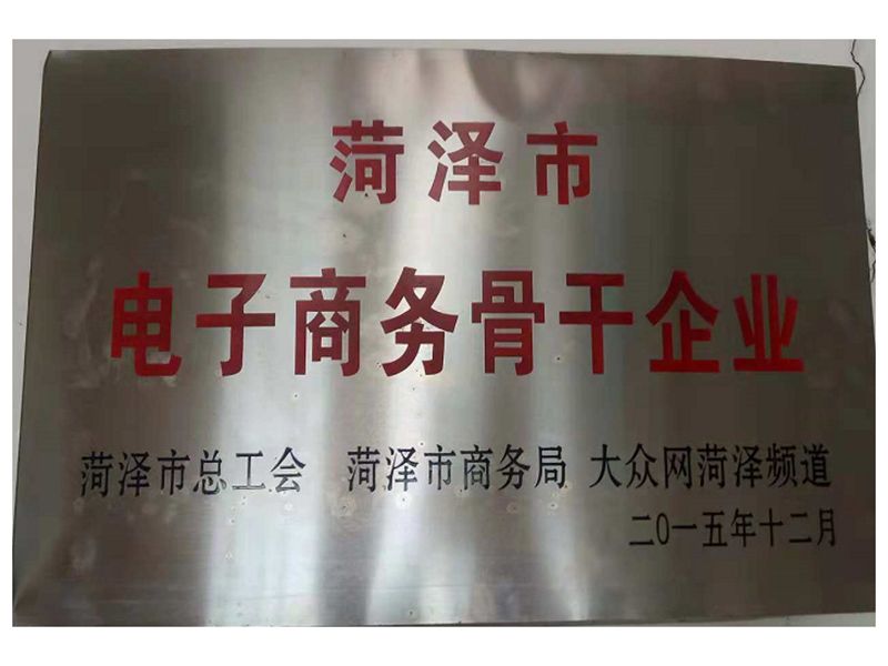 电子商务骨干企业